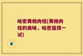 哈密黄精肉桂(黄精肉桂的美味，哈密值得一试)
