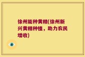 徐州能种黄精(徐州新兴黄精种植，助力农民增收)