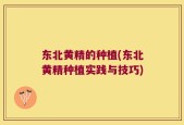 东北黄精的种植(东北黄精种植实践与技巧)