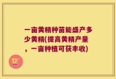 一亩黄精种苗能盛产多少黄精(提高黄精产量，一亩种植可获丰收)