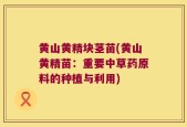 黄山黄精块茎苗(黄山黄精苗：重要中草药原料的种植与利用)