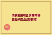 滇黄精移栽(滇黄精移栽技巧及注意事项)