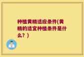 种植黄精适应条件(黄精的适宜种植条件是什么？)