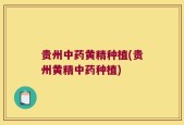 贵州中药黄精种植(贵州黄精中药种植)