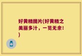 好黄精图片(好黄精之美丽多汁，一览无余！)