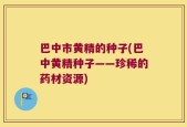 巴中市黄精的种子(巴中黄精种子——珍稀的药材资源)