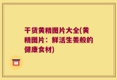 干货黄精图片大全(黄精图片：鲜活生姜般的健康食材)