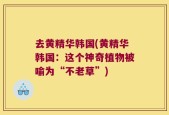 去黄精华韩国(黄精华韩国：这个神奇植物被喻为“不老草”)
