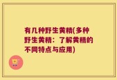 有几种野生黄精(多种野生黄精：了解黄精的不同特点与应用)