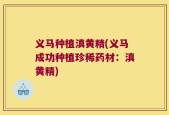 义马种植滇黄精(义马成功种植珍稀药材：滇黄精)