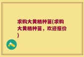 求购大黄精种苗(求购大黄精种苗，欢迎报价)