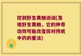 挖到野生黄精说说(发现野生黄精，它的神奇功效可能改变你对传统中药的看法)