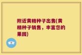 附近黄精种子出售(黄精种子销售，丰富您的果园)