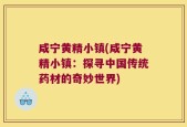 咸宁黄精小镇(咸宁黄精小镇：探寻中国传统药材的奇妙世界)