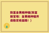 致富金黄精种植(致富新宝地：金黄精种植开启稳定收益路！)