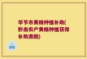 毕节市黄精种植补助(黔南农户黄精种植获得补助激励)