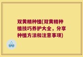双黄精种植(双黄精种植技巧养护大全，分享种植方法和注意事项)