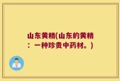 山东黄精(山东的黄精：一种珍贵中药材。)