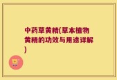 中药草黄精(草本植物黄精的功效与用途详解)