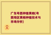 广东粤西种植黄精(粤西地区黄精种植技术与市场分析)