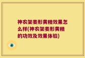 神农架姜形黄精效果怎么样(神农架姜形黄精的功效及效果体验)