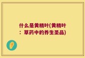 什么是黄精叶(黄精叶：草药中的养生圣品)