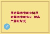 昆明黄精种植技术(昆明黄精种植技巧：提高产量新方法)