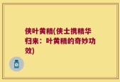 侠叶黄精(侠士携精华归来：叶黄精的奇妙功效)