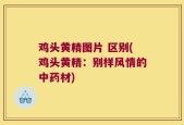 鸡头黄精图片 区别(鸡头黄精：别样风情的中药材)