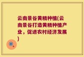 云南景谷黄精种植(云南景谷打造黄精种植产业，促进农村经济发展)