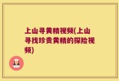 上山寻黄精视频(上山寻找珍贵黄精的探险视频)