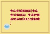 余庆龙溪黄精苗(余庆龙溪黄精苗：生态种植基地带给你无公害健康)