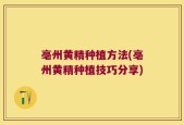 亳州黄精种植方法(亳州黄精种植技巧分享)