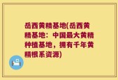 岳西黄精基地(岳西黄精基地：中国最大黄精种植基地，拥有千年黄精根系资源)