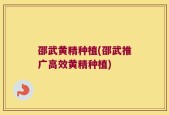 邵武黄精种植(邵武推广高效黄精种植)