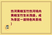 热河黄精玉竹热河境内黄精玉竹生长茂盛，成为景区一道特色风景线)