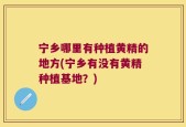 宁乡哪里有种植黄精的地方(宁乡有没有黄精种植基地？)