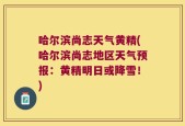 哈尔滨尚志天气黄精(哈尔滨尚志地区天气预报：黄精明日或降雪！)