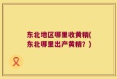 东北地区哪里收黄精(东北哪里出产黄精？)