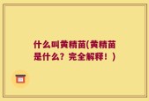 什么叫黄精苗(黄精苗是什么？完全解释！)