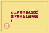 山上的黄精怎么鉴定(如何鉴别山上的黄精？)