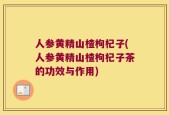 人参黄精山楂枸杞子(人参黄精山楂枸杞子茶的功效与作用)