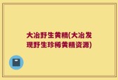 大冶野生黄精(大冶发现野生珍稀黄精资源)