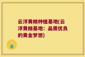 云浮黄精种植基地(云浮黄精基地：品质优良的黄金梦想)