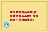 重庆黄精育苗基地(重庆黄精育苗基地：打造珍贵中药材新生态)