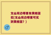 文山周边哪里有黄精苗买(文山周边哪里可买到黄精苗？)