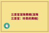 三圣宝深海黄精(深海三圣宝：珍贵的黄精)