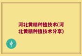 河北黄精种植技术(河北黄精种植技术分享)