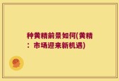 种黄精前景如何(黄精：市场迎来新机遇)