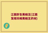 江西野生黄精王(江西发现珍稀黄精王药材)